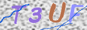 この文字を入力してください