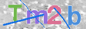 この文字を入力してください
