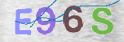 この文字を入力してください
