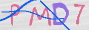 この文字を入力してください