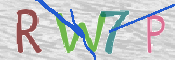 この文字を入力してください
