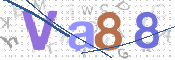 この文字を入力してください