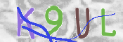 この文字を入力してください