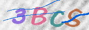 この文字を入力してください