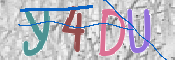 この文字を入力してください