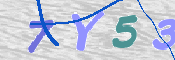 この文字を入力してください