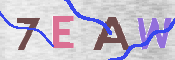 この文字を入力してください