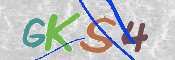 この文字を入力してください