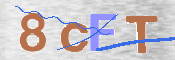 この文字を入力してください