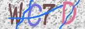 この文字を入力してください