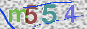 この文字を入力してください