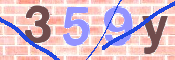 この文字を入力してください