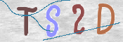 この文字を入力してください
