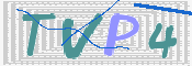 この文字を入力してください