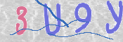 この文字を入力してください