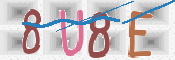 この文字を入力してください