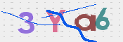 この文字を入力してください