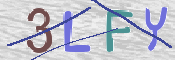 この文字を入力してください