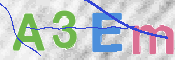 この文字を入力してください