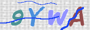 この文字を入力してください