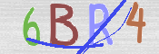 この文字を入力してください