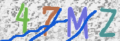 この文字を入力してください