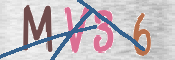 この文字を入力してください