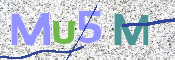 この文字を入力してください