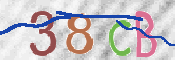 この文字を入力してください
