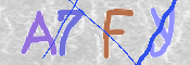 この文字を入力してください