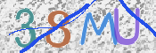 この文字を入力してください