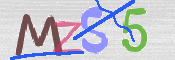 この文字を入力してください