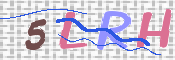 この文字を入力してください