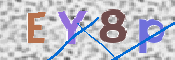 この文字を入力してください