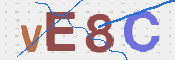 この文字を入力してください