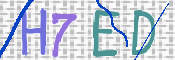 この文字を入力してください