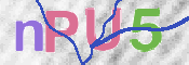 この文字を入力してください