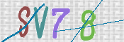 この文字を入力してください
