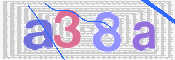 この文字を入力してください