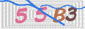 この文字を入力してください