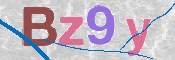 この文字を入力してください