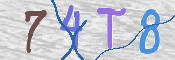 この文字を入力してください