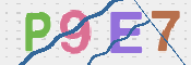 この文字を入力してください