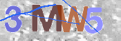 この文字を入力してください