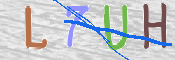 この文字を入力してください