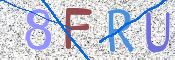 この文字を入力してください