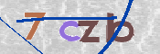 この文字を入力してください