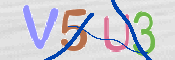 この文字を入力してください
