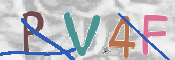 この文字を入力してください