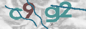 この文字を入力してください